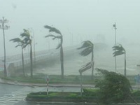 Quảng Bình: Nhiều cổng chào, cây xanh ngã đổ do bão số 10