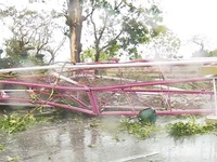 Quảng Bình thiệt hại nặng nề sau bão số 10