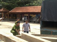 Quảng Nam ngăn chặn nạn vận chuyển gỗ lậu bằng xe máy