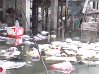 Vũng Tàu: Ô nhiễm cửa biển do xả rác bừa bãi