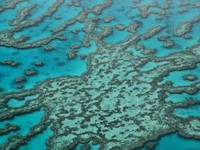 Rạn san hô Great Barrier Reef được định giá 56 tỷ USD