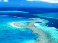 Rạn san hô Great Barrier thoát danh sách di sản bị nguy cấp