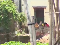 Sạt lở tại An Giang: Nhiều hộ dân không chịu di dời khỏi vùng nguy hiểm
