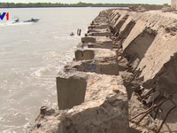 Bạc Liêu: Sạt lở bờ biển nghiêm trọng đe dọa hệ thống kè