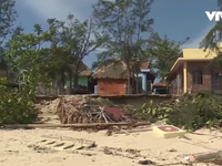 Bờ biển Quảng Bình sạt lở nghiêm trọng do bão số 10
