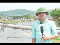 Ngành điện Quảng Bình thiệt hại quá lớn sau bão số 10