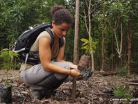 Người dân khu vực Amazon học cách làm nông bền vững