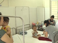 Đà Nẵng: Hơn 180 ca sốt xuất huyết trong một tuần