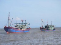 Cam kết không đánh bắt hải sản bất hợp pháp