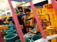 Thái Lan và vấn đề lao động nhập cư