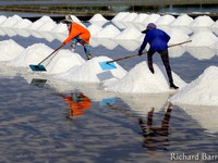Khám phá nghề làm muối tại Thái Lan