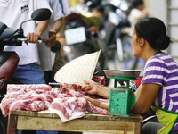 Bình Định: Triển khai nhiều giải pháp hỗ trợ người chăn nuôi lợn