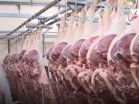 Sức mua và giá thịt lợn giảm sau vụ tiêm thuốc an thần