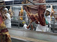Chính phủ Brazil phát lệnh thu hồi thịt nghi vấn