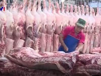 Nhiều giải pháp đẩy mạnh tiêu thụ thịt lợn hỗ trợ người chăn nuôi