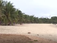 Đà Nẵng đồng ý cho xây kè chống sạt lở tại khu vực biển Tiên Sa