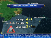 Áp thấp nhiệt đới gây mưa dông kèm lốc xoáy trên vùng biển từ Bình Thuận đến Kiên Giang