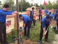 Thanh niên Đà Nẵng ra quân trồng 1.000 cây xanh