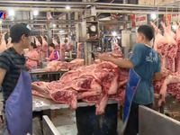 TP.HCM: 65 lợn tại chợ đầu mối Bình Điền chưa truy xuất được nguồn gốc