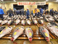 Chợ cá Tsukiji - Chợ hải sản lớn nhất thế giới chuẩn bị di dời