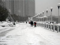 Tuyết rơi sớm, Trung Quốc ban hành cảnh báo