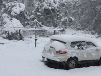 Tuyết rơi dày đặc giữa mùa hè ở miền Nam Australia