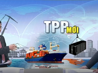 Tương lai của TPP sẽ được 'định đoạt' ở Hội nghị cấp Bộ trưởng tại Hà Nội
