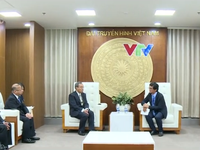 VTV hợp tác sản xuất phim tài liệu với Đài Truyền hình Nhật Bản