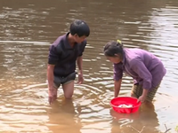 Thanh Hóa: Cá chết hàng loạt trên sông Âm nghi nguồn nước bị ô nhiễm