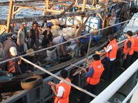 Tiếp nhận 7 ngư dân bị tai nạn chìm tàu trên biển Quảng Bình