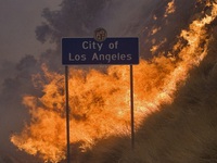 Cháy rừng nghiêm trọng nhất trong lịch sử TP Los Angeles, Mỹ
