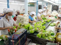 Xuất khẩu rau quả của Việt Nam tăng đột biến trong 9 tháng