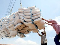 Xuất khẩu gạo năm 2017 sẽ đạt trên 5 triệu tấn