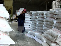 Xuất khẩu gạo nhiều tín hiệu lạc quan sau thời gian dài trầm lắng