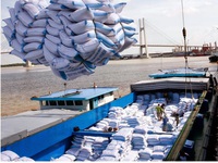Việt Nam sẽ xuất khẩu 4 triệu tấn gạo vào năm 2030