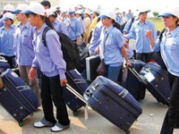 Hơn 5.000 lao động Việt Nam sang Saudi Arabia làm giúp việc gia đình