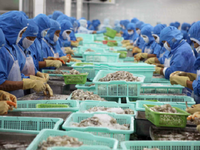 VASEP bức xúc trước lệnh cấm nhập khẩu thủy hải sản Việt Nam của Saudi Arabia