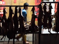 Đài Loan (Trung Quốc) cấm giết chó, mèo