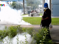 Singapore xác nhận thêm 2 ca nhiễm Zika