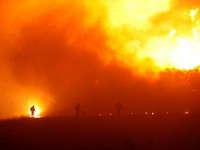 Chile thiệt hại nặng nề do nạn cháy rừng tồi tệ nhất lịch sử