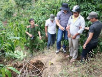 Phá nhanh vụ giết người, phi tang thi thể ở Lâm Đồng