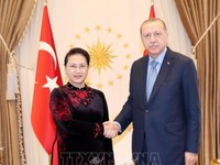 Chủ tịch Quốc hội tiếp kiến Tổng thống Thổ Nhĩ Kỳ
