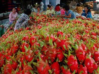 Nông sản Việt khó “ghi điểm' so với các quốc gia khác: Đâu là nguyên nhân?