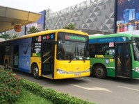 TP.HCM: Thiếu đồng bộ để phát triển xe bus thông minh