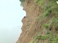Khai thác cát gây sạt lở, uy hiếp khu dân cư tại Bình Định