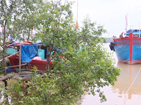 Nguy cơ lãng phí âu thuyền tiền tỷ ở Sầm Sơn, Thanh Hóa
