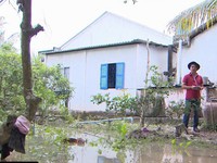 Vĩnh Long: Nhiều xã cù lao bị ngập sâu