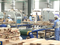 Ngành gỗ Việt sắp cán đích xuất khẩu 9 tỷ USD