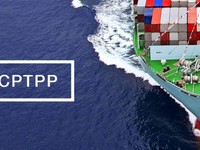 Việt Nam là quốc gia thứ 7 phê chuẩn CPTPP