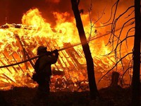 Hậu quả thảm khốc của cháy rừng ở California, Mỹ